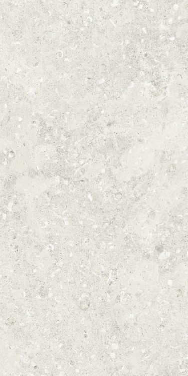 Sea Luster Bianca Matte 24 x 48